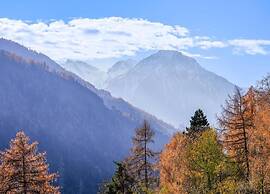 Charming Chalet Near Trails
