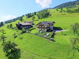 Snug Farmhouse in Taxenbach near Cross Country Skiing