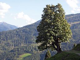 Spacious Cottage near Ski Area in Wagrain