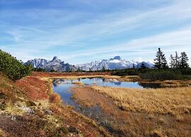 Apartment in Altenmarkt in Pongau Near ski Area