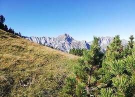 Apartment in Altenmarkt in Pongau Near ski Area