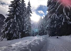 Apartment in Altenmarkt in Pongau Near ski Area