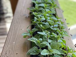 Alluring Family Chalet in Wagrain with Sauna near City Center