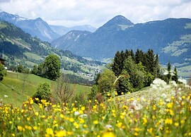 Apartment in Aschau im Zillertal With Balcony