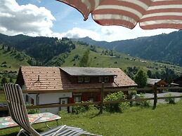 Luxurious Chalet in Habkern With Private Garden