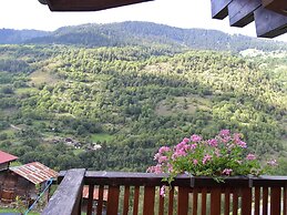 Cozy Chalet in Chrixacher near Forest