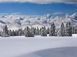 Cozy Chalet in Chrixacher near Forest