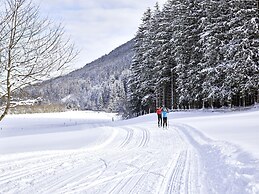 Chalet in Neukirchen am Grossvenediger With Pool