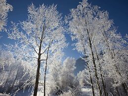 Holiday Home in Mittersill Near ski Area