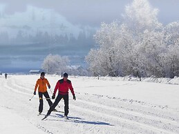 Holiday Home in Mittersill Near ski Area