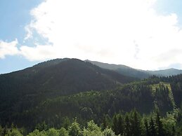 Chalet Apartment in ski Area Saalbach-hinterglemm