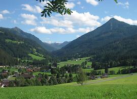 Chalet Apartment in ski Area Saalbach-hinterglemm