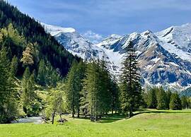 Chalet Apartment in ski Area Saalbach-hinterglemm