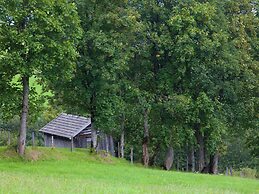 Welcoming Apartment in Hollersbach im Pinzgau near Ski Area