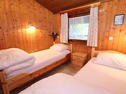 Chalet Anna Near Ski Area in Niedernsill