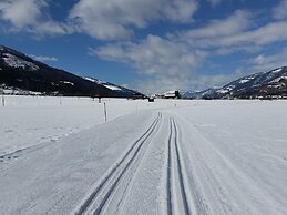 Chalet Anna Near Ski Area in Niedernsill