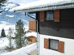 Chalet Anna Near Ski Area in Niedernsill