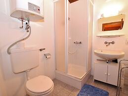 Chalet Anna Near Ski Area in Niedernsill