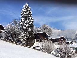 Chalet Anna Near Ski Area in Niedernsill
