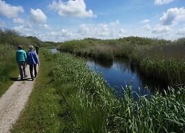 Holiday Home in Callantsoog Near Beach