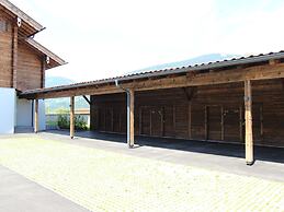 Apartment in ski Area Kitzski Hollersbach