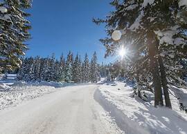 Spacious Villa With Sauna