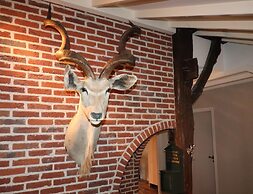 Villa in Ommen With Private Pond