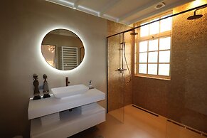 Villa in Ommen With Private Pond