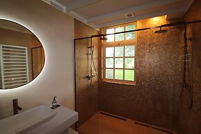 Villa in Ommen With Private Pond