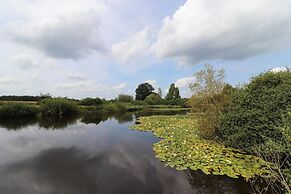 Villa in Ommen With Private Pond
