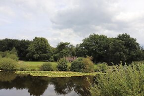 Villa in Ommen With Private Pond