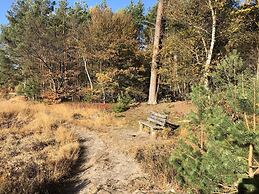 Villa in Ommen With Private Pond