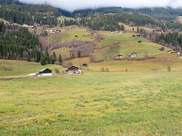 Modern Apartment in Wald / Pinzgau With Sauna