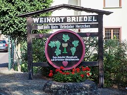 Spacious Holiday Home in Briedel Near River Mosel