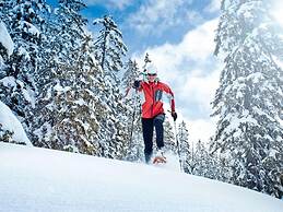 Luxury Chalet with Sauna near Ski Area in Salzburg