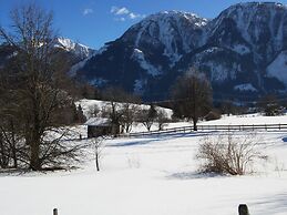 Luxurious Mansion in Goldegg