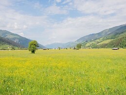 Detached Luxury Holiday Home With Sauna