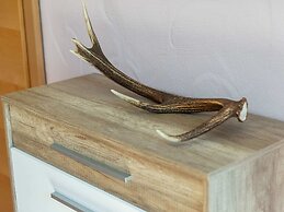 Sunlit Apartment near Ski Area in Walchen