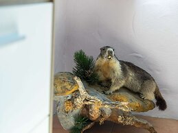 Sunlit Apartment near Ski Area in Walchen