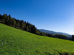 Cozy Apartment in Mühlbach with Garden near Ski Slopes