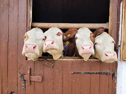 Cozy Apartment in Mühlbach with Garden near Ski Slopes