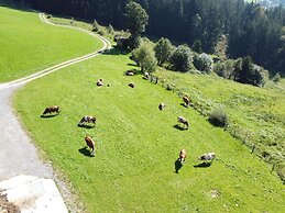 Cozy Apartment in Mühlbach with Garden near Ski Slopes