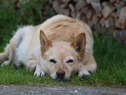 Cozy Apartment in Mühlbach with Garden near Ski Slopes