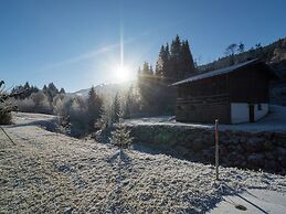 Spacious Holiday Home near Ski Area in Leogang