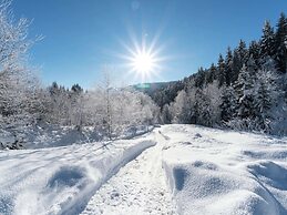 Spacious Holiday Home near Ski Area in Leogang