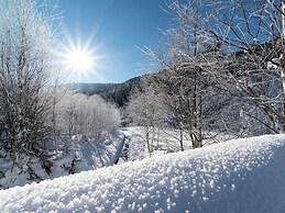 Spacious Holiday Home near Ski Area in Leogang
