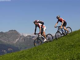 Large Luxury Chalet near Ski Area Zillerarena Königsleiten