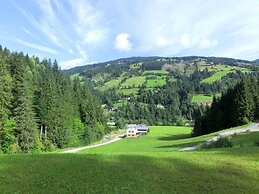 Chalet in Saalbach-hinterglemm in ski Area