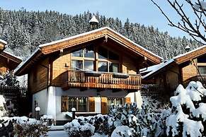 Premium Chalet With Sauna on a Sunny Slope