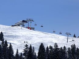 Modern Holiday Home Near the ski Area